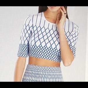 BCBG Crop Top